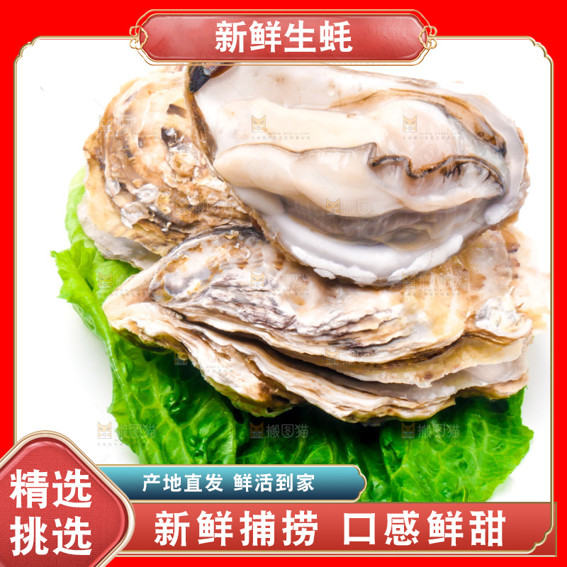 白底上放着乳山生蚝