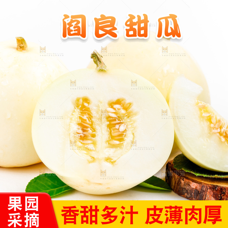 新鲜阎良甜瓜放在白底上