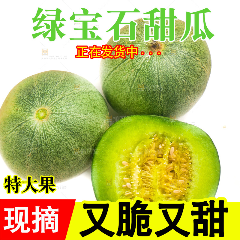 白底上放着山东绿宝甜瓜