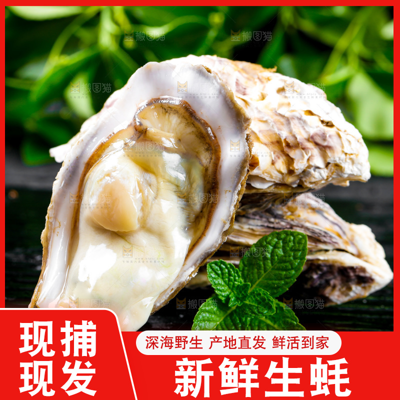 深底上放着牡蛎