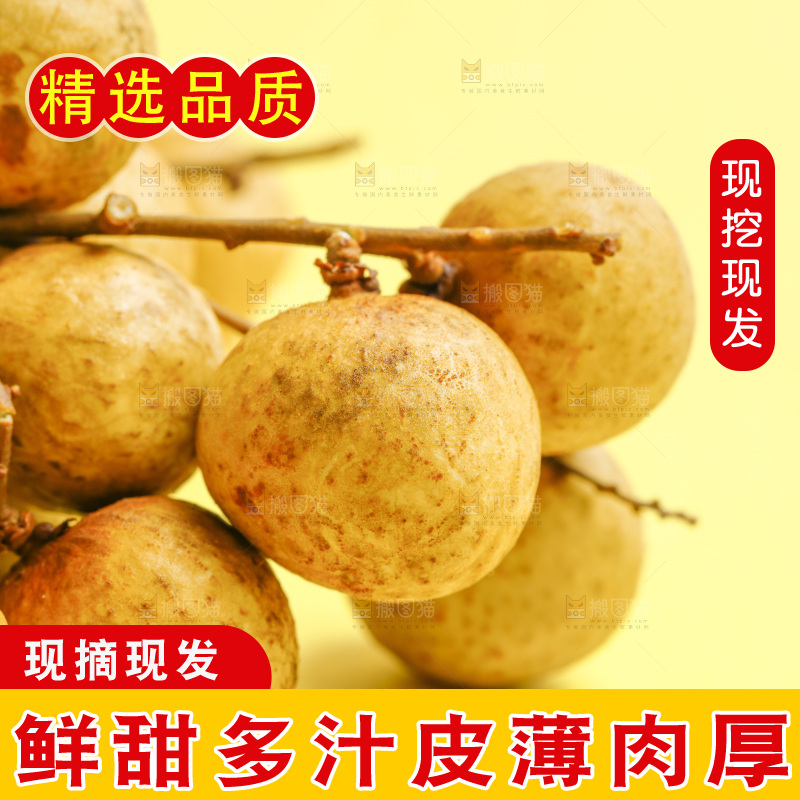 浅底上放着新鲜龙眼