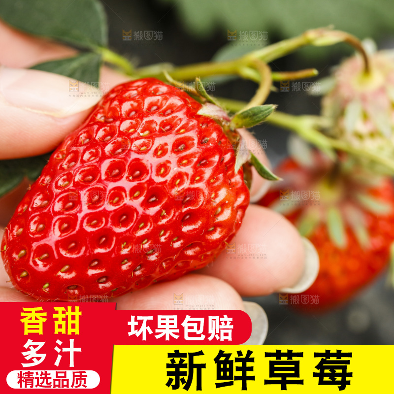手拿草莓