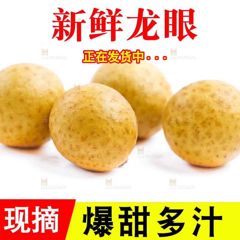 白底上的龙眼