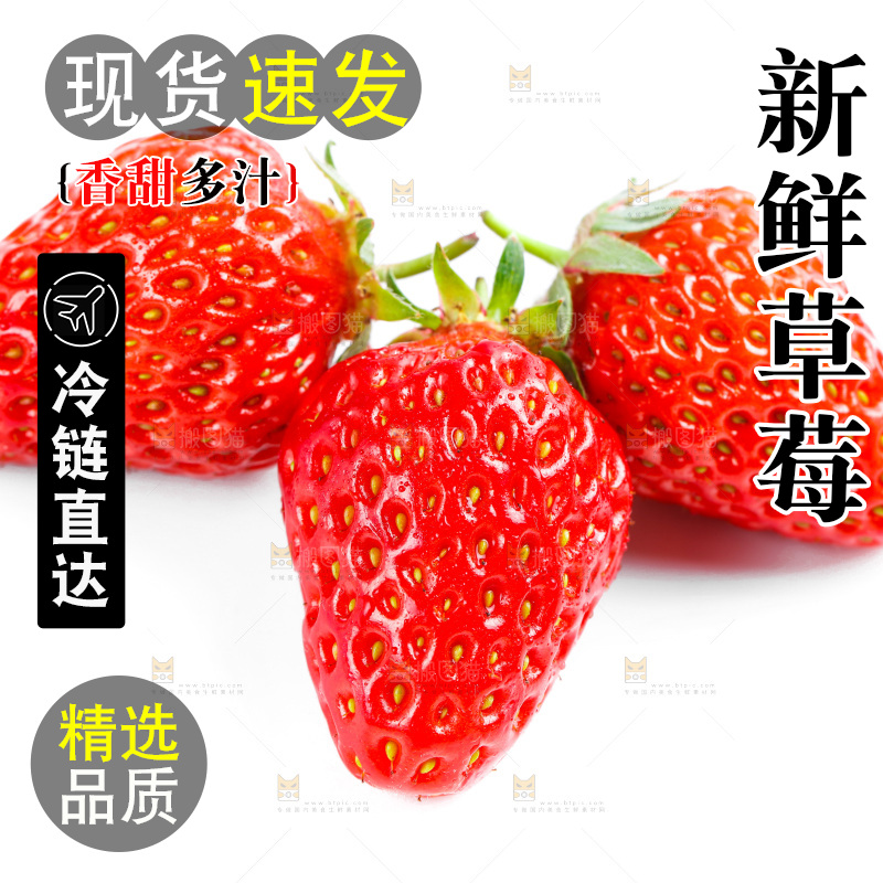 白底上放着99草莓