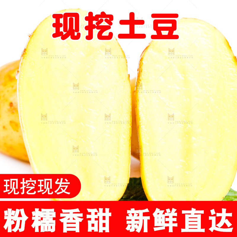 黄心土豆放在白底上