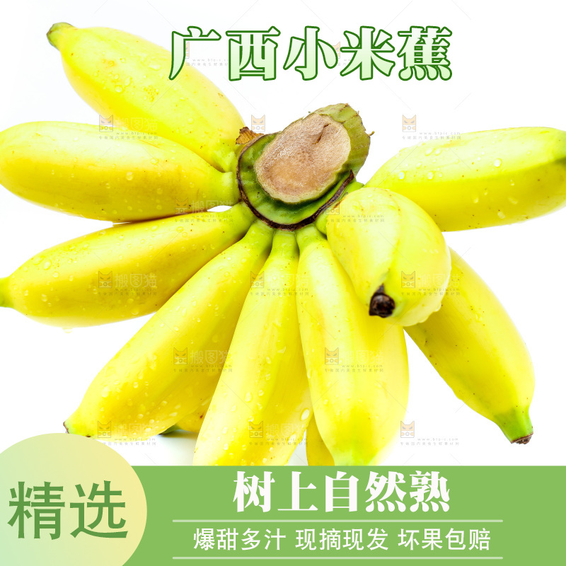 白底上放着新鲜小米蕉