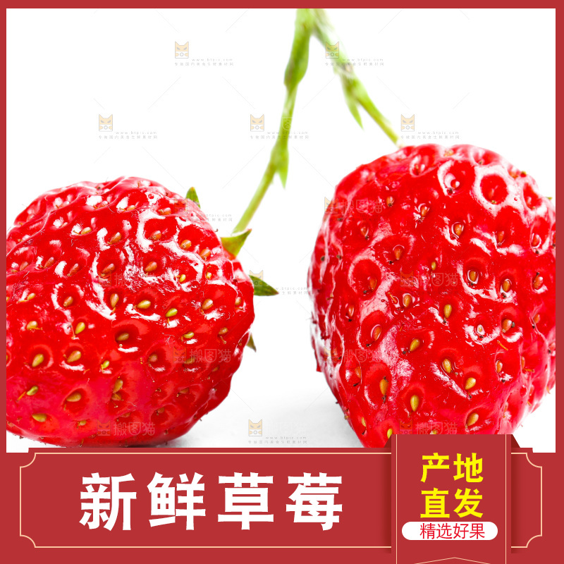 白底上的丹东草莓