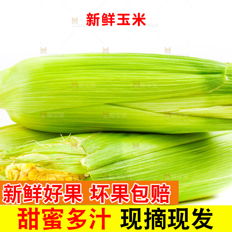 白底上放着新鲜玉米