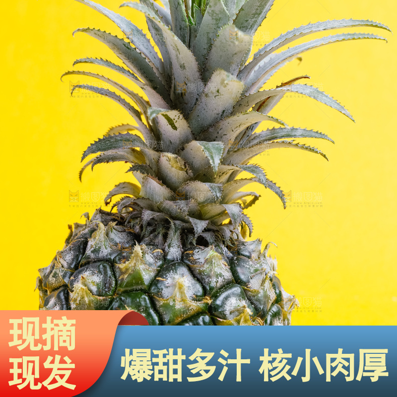 浅底上放着云南香水小菠萝