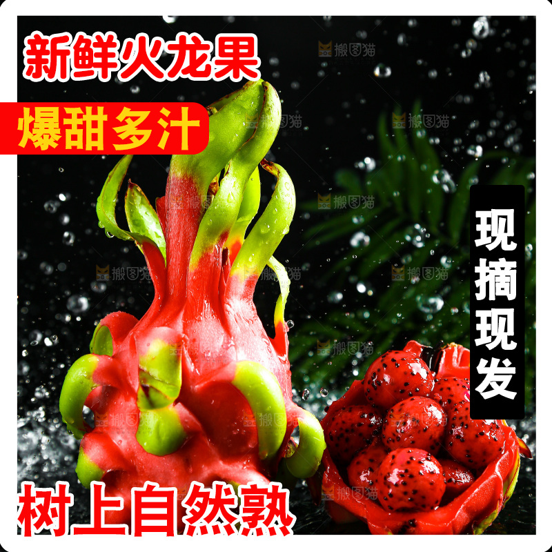 黑底上放着海南红心火龙果