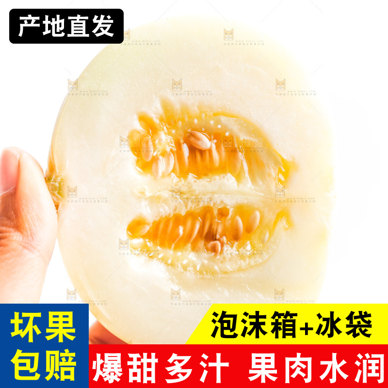 手拿阎良甜瓜