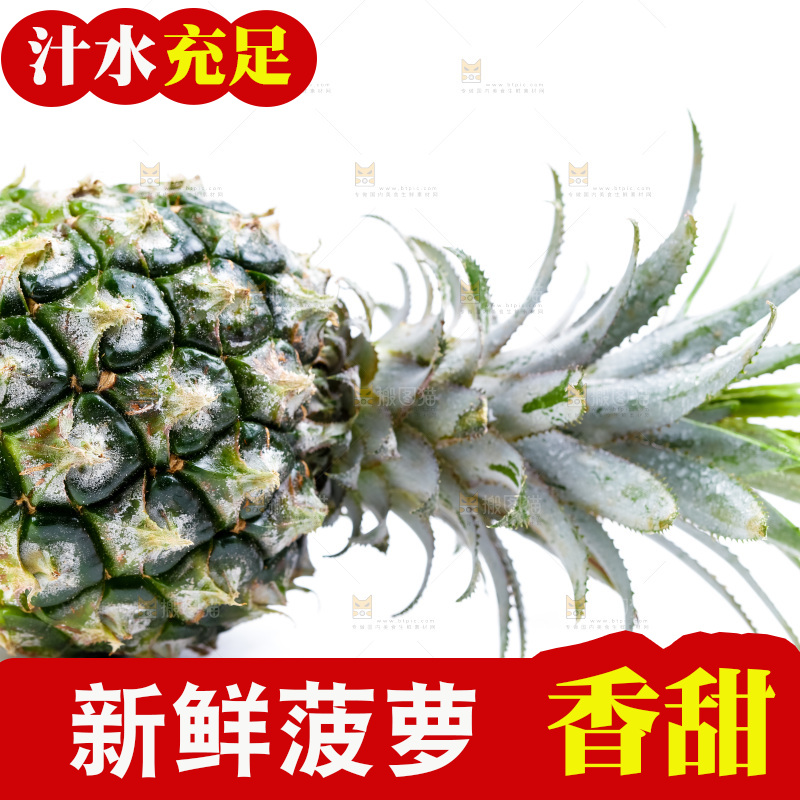 白底上的菠萝