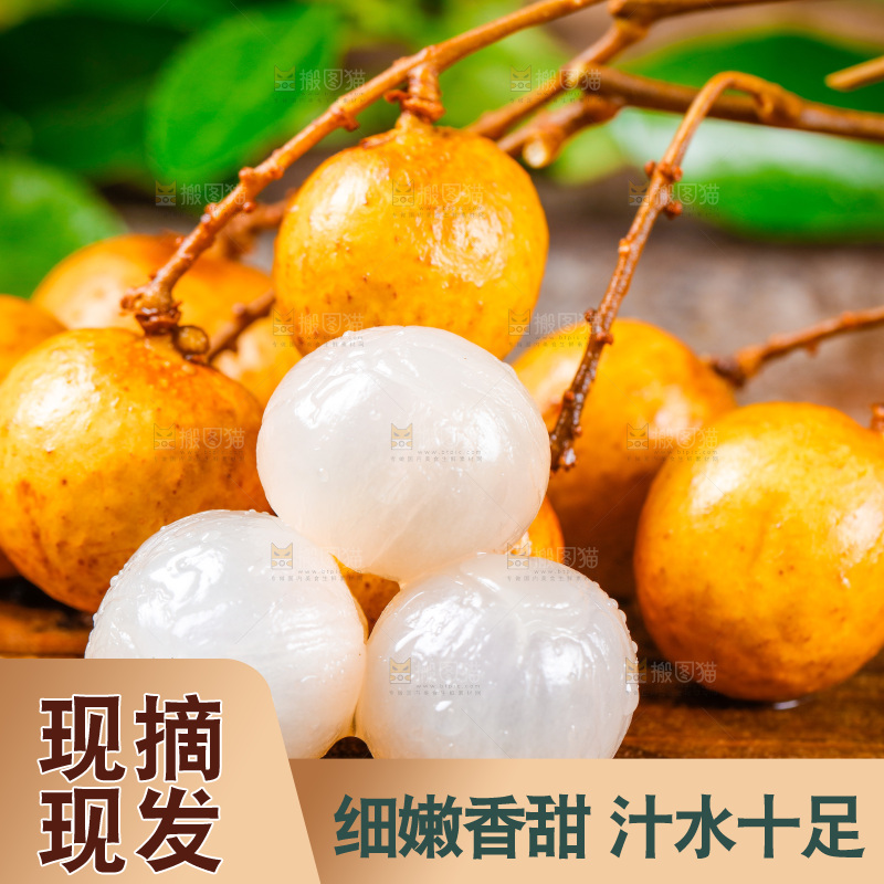 木底上放着新鲜龙眼