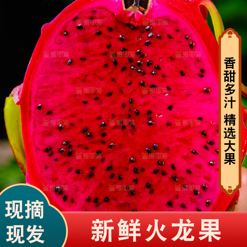 手拿红心火龙果切块
