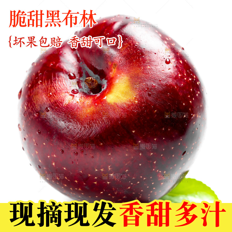 白底上的黑布林