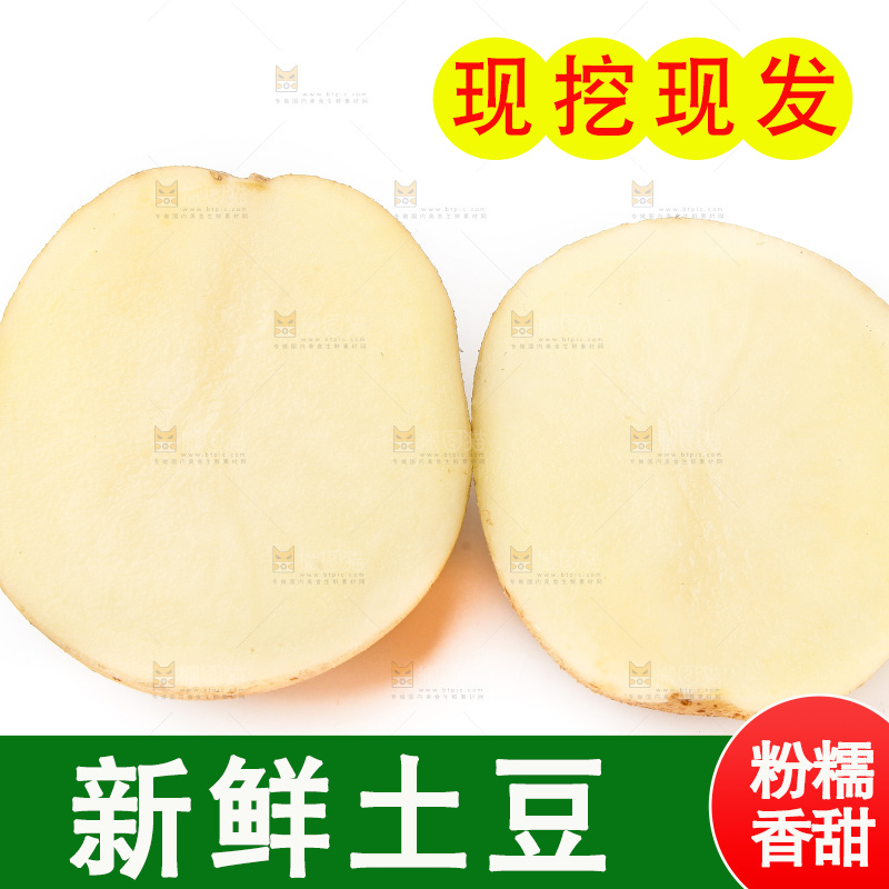 新鲜土豆放在白底上