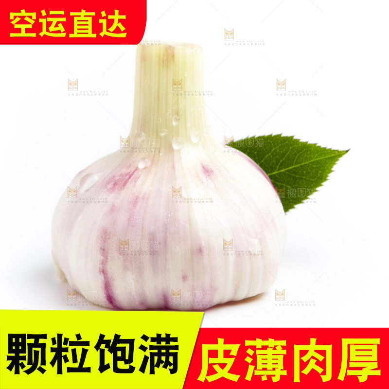 白底上放着多瓣蒜