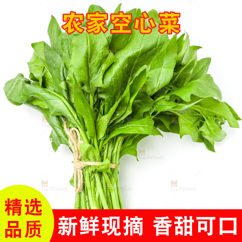 白底上放着一把空心菜