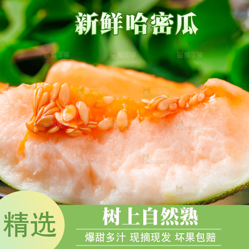 木底上放着新疆哈密瓜