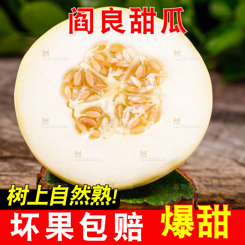 新鲜阎良甜瓜放在木底上