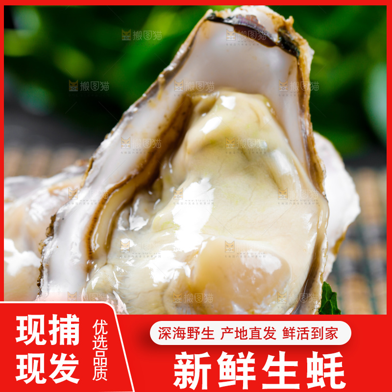 木底上放着生蚝