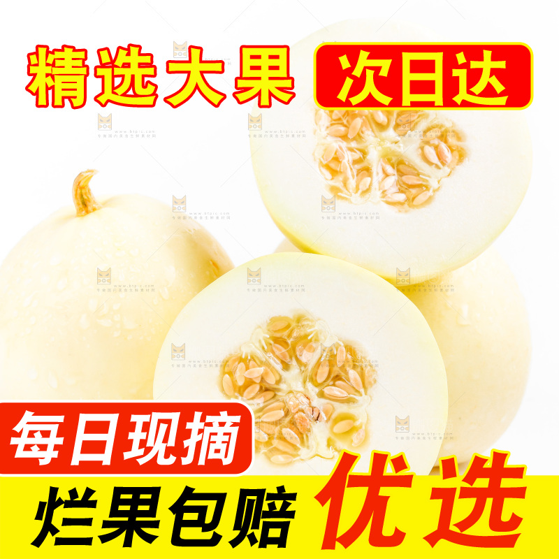 新鲜阎良甜瓜放在白底上