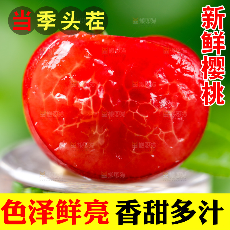 浅底上的烟台樱桃