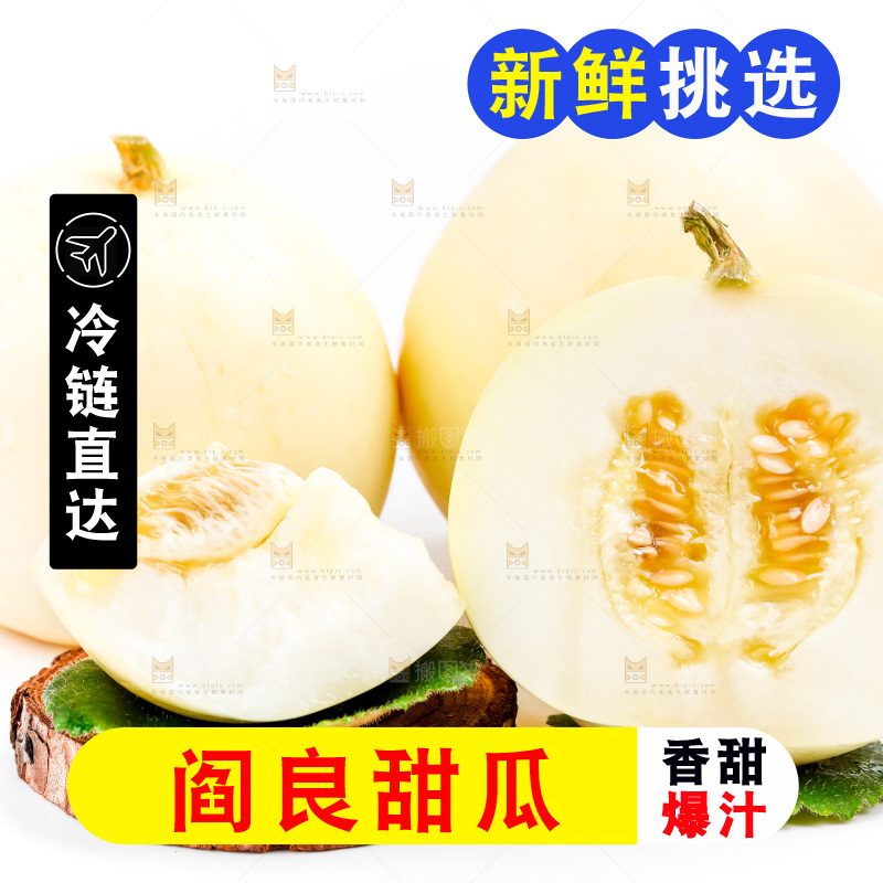 新鲜阎良甜瓜放在白底上