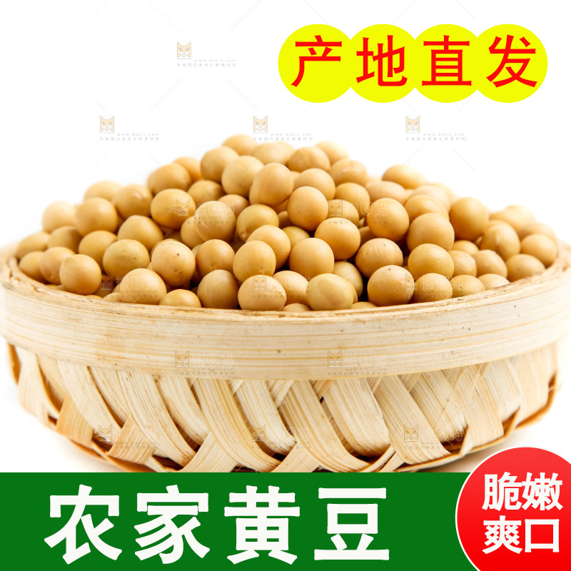 一碗黄豆放在白底上