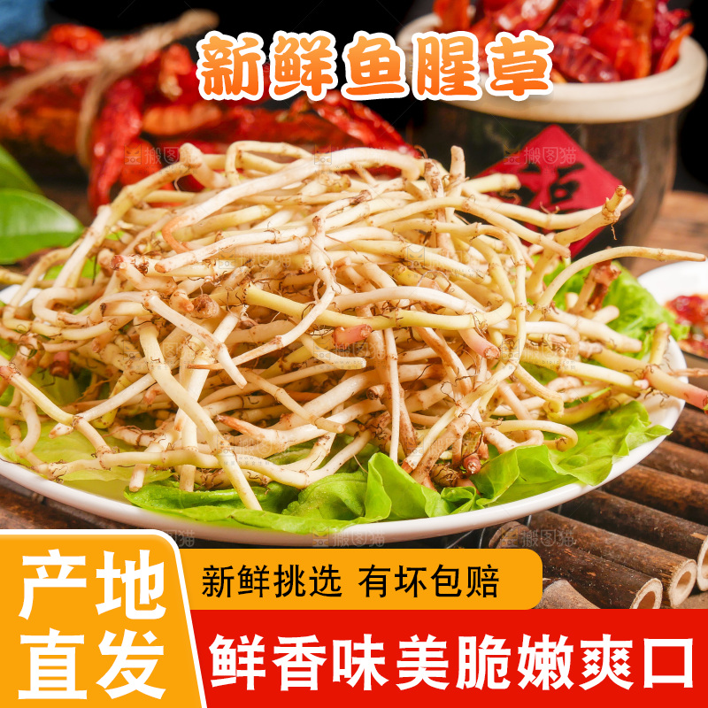 木底上放着一盘鱼腥草