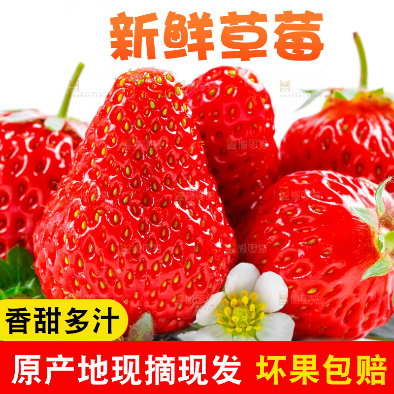 白底上的草莓