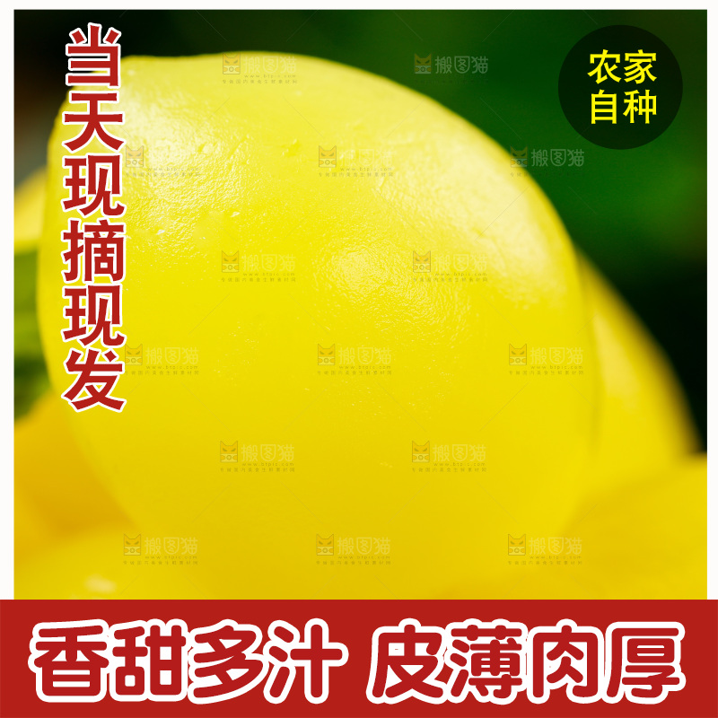 橄榄果放在木底上