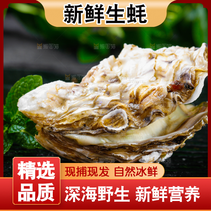 黑底上放着海蛎子