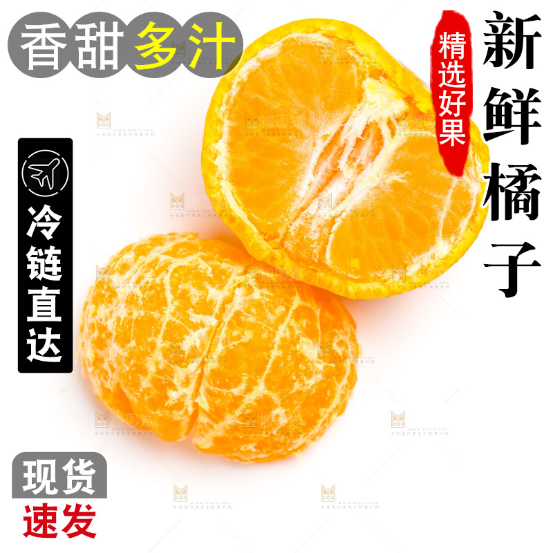 新鲜橘子放在白底上