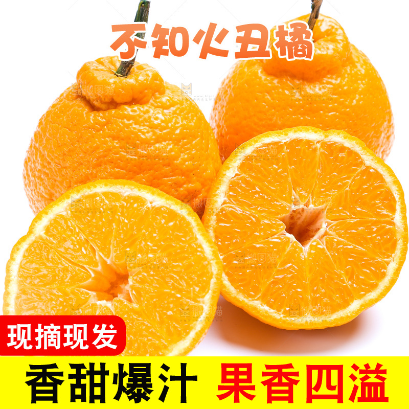 切开的四川丑橘放在白底上