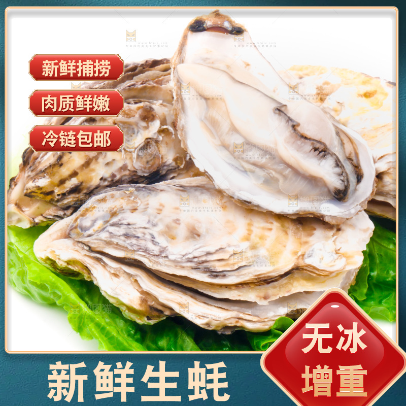 白底上放着乳山生蚝