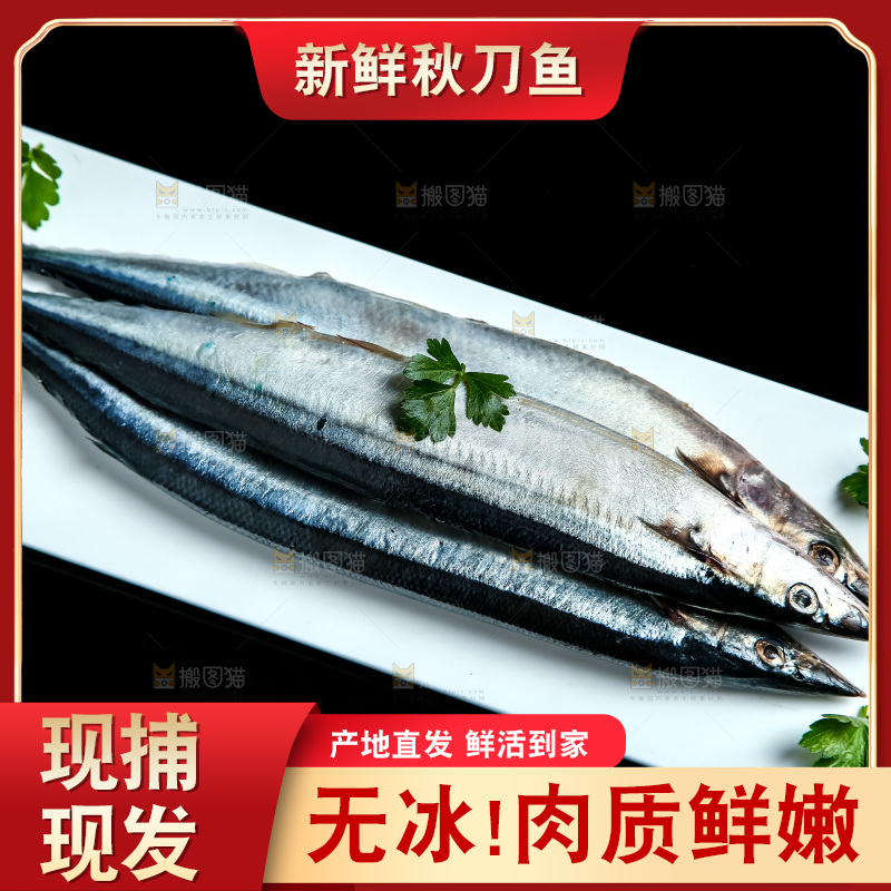 黑底上放着一盘秋刀鱼