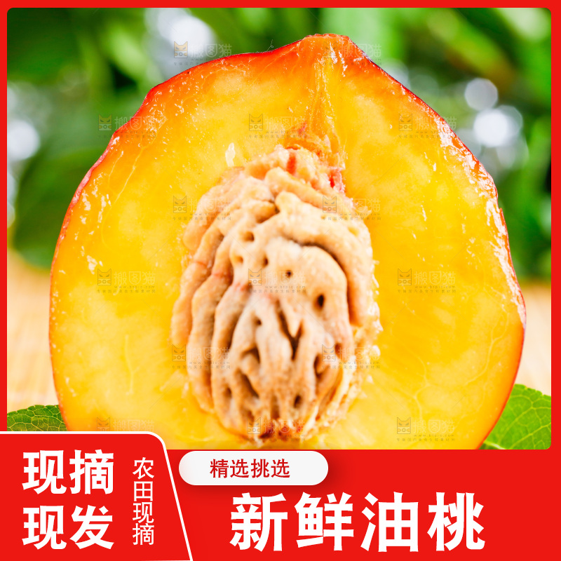 浅底上的油桃