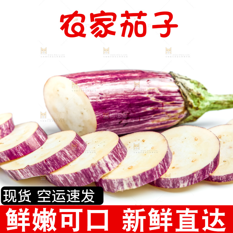 新鲜茄子放在白底上
