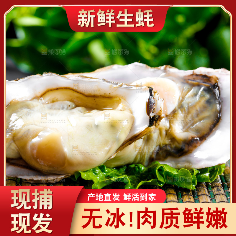 木底上放着生蚝