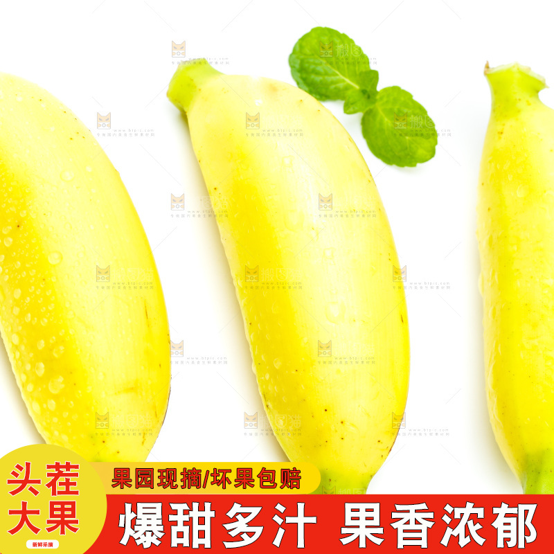 白底上放着新鲜小米蕉