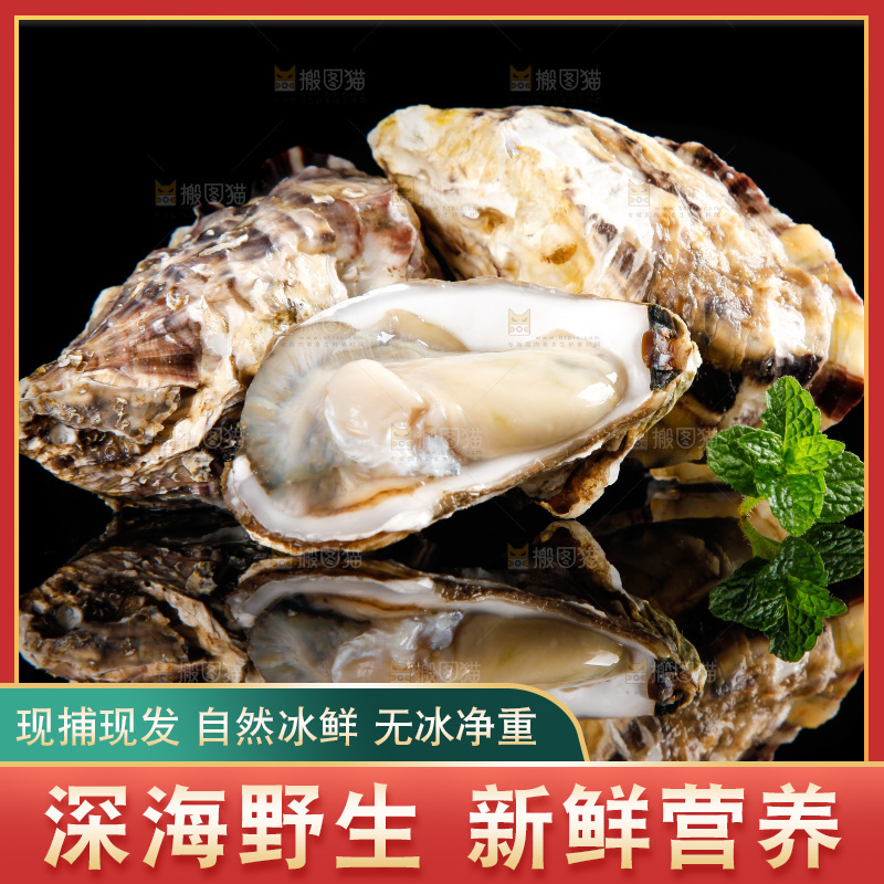深底上放着牡蛎