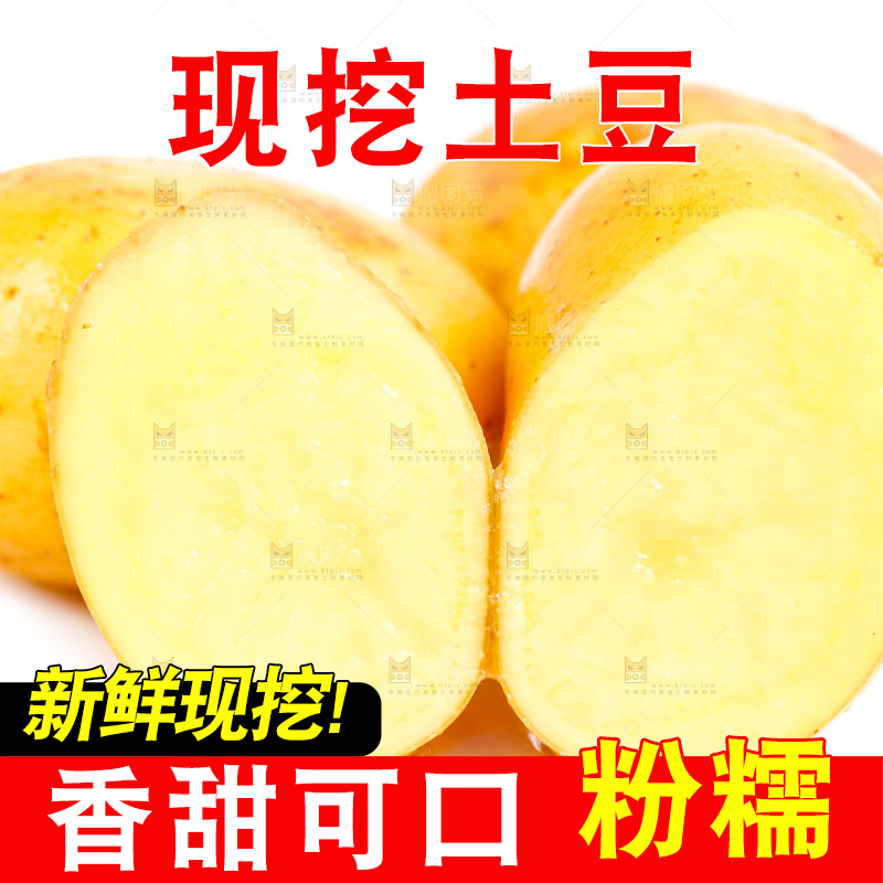 黄心土豆放在白底上