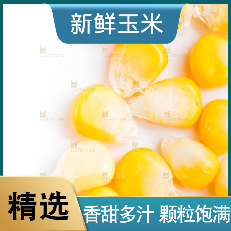 白底上的甜玉米