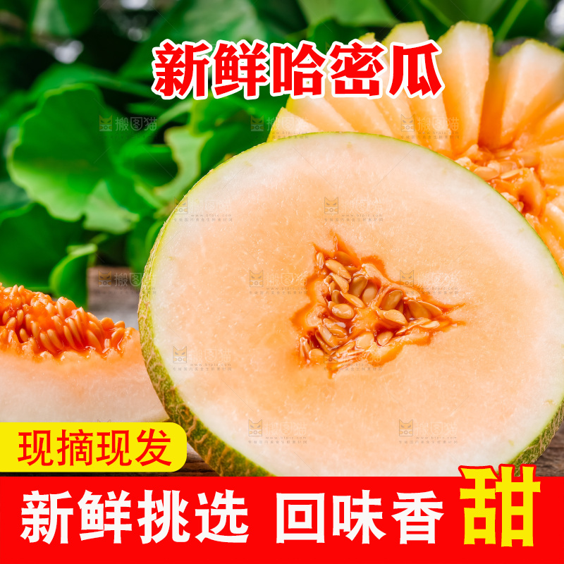 新鲜哈密瓜放在木底上