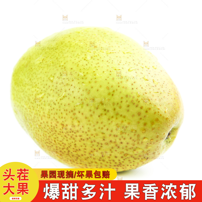 白底上的香梨