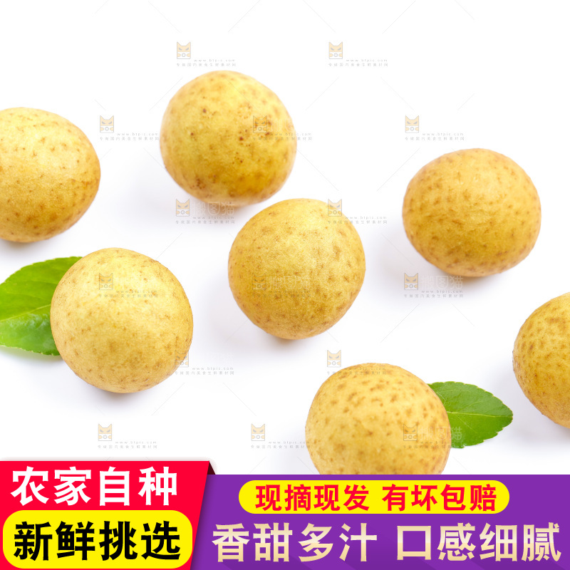 白底上的龙眼