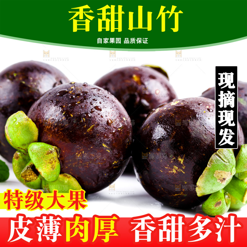 新鲜山竹放在白底上