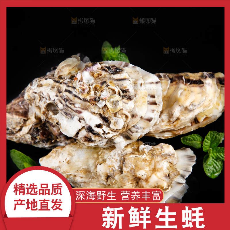 深底上放着牡蛎