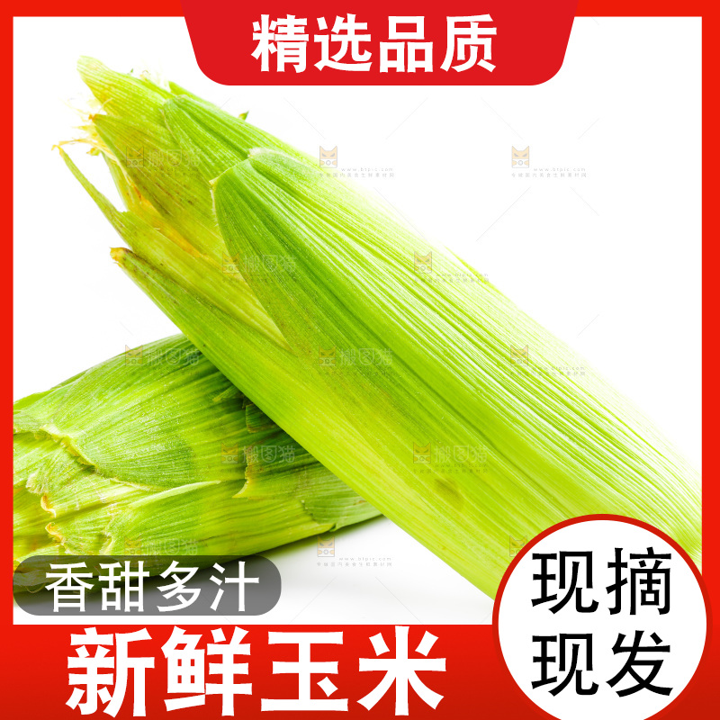 白底上放着新鲜玉米
